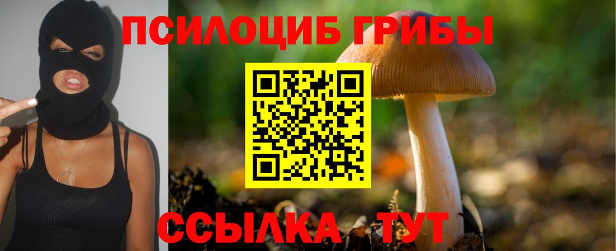 Галлюциногенные грибы Psilocybine cubensis  Галлюциногенные грибы MAGIC MUSHROOMS  Вход с VPN  Чернушка 
